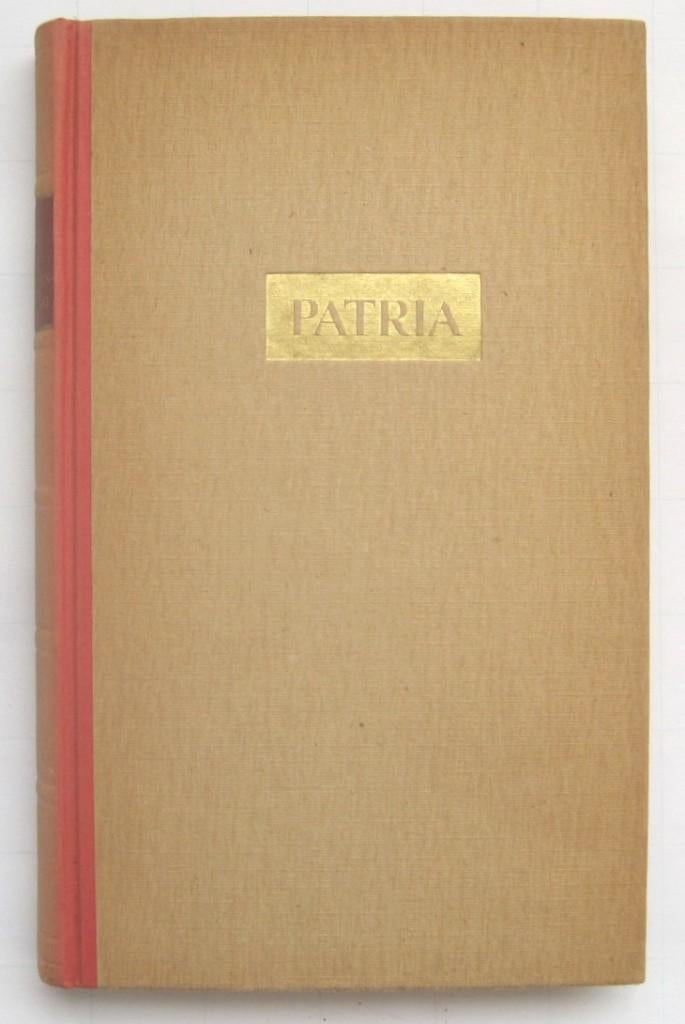 De Patriottenbeweging 1780-1787 - P. van Geyl, Gelezen, Ophalen of Verzenden, P. van Geyl, 17e en 18e eeuw