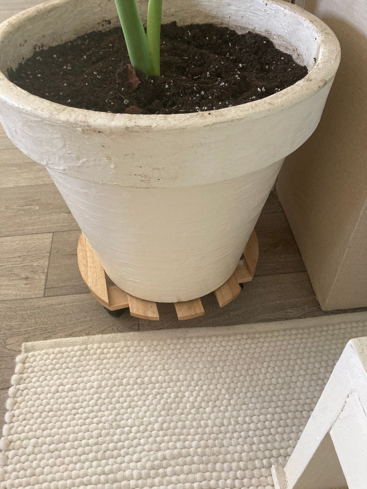 Gestuukt plantenpot, Steen, Minder dan 30 cm, Verzenden, Rond