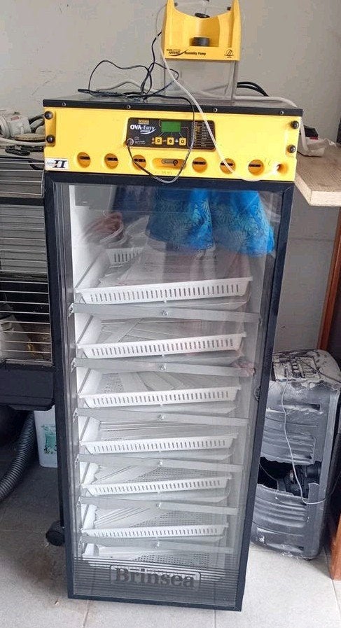 Brinsea Ova-Easy Advance 580 broedmachine, Dieren en Toebehoren, Geslacht onbekend, Kip