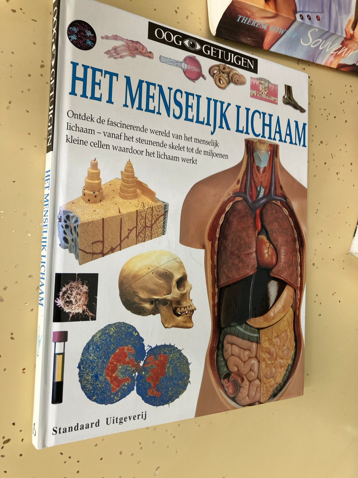 Ooggetuigen: Het Menselijk Lichaam - Ontdek de anatomie, Ophalen of Verzenden, Zo goed als nieuw, Natuurwetenschap