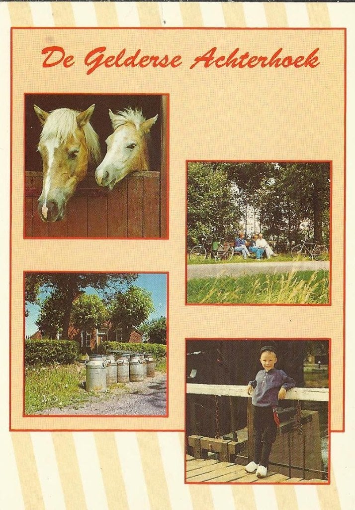 De Gelderse Achterhoek 1016a, Ophalen of Verzenden, Voor 1920