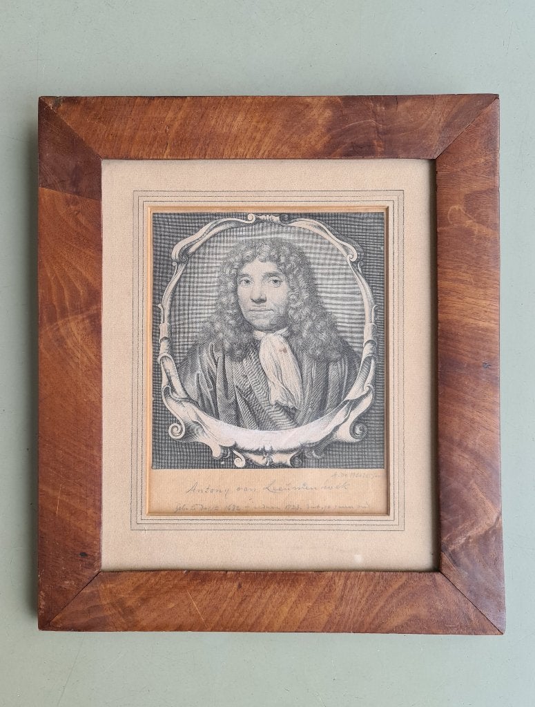 vintage gravure druk Antony van Leeuwenhoek 27x31cm, Ophalen of Verzenden, 31 cm, 27 cm, Portret
