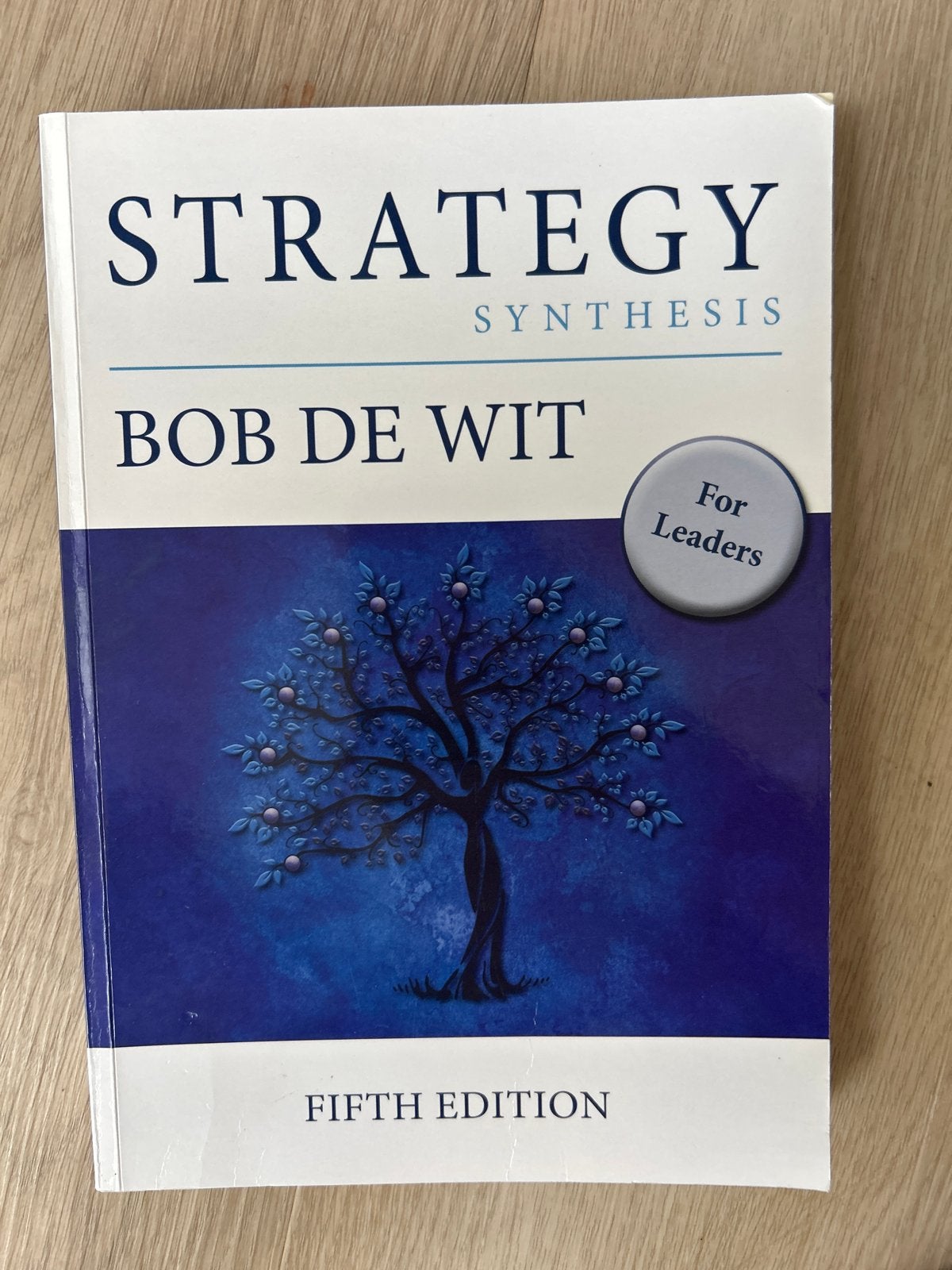 Strategy Synthesis - Bob de Wit (Vijfde Editie), Ophalen of Verzenden, Gamma, Zo goed als nieuw, HBO