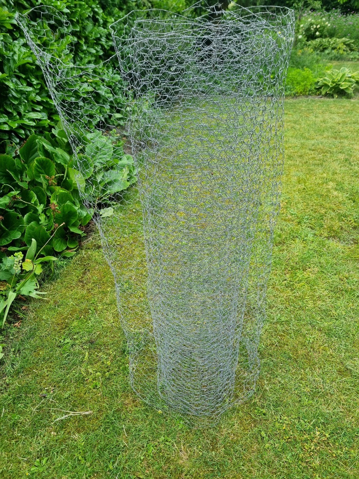 Kippengaas - Ideaal voor tuin en dierenverblijf, Ophalen, Zo goed als nieuw, Minder dan 10 meter, Gaas