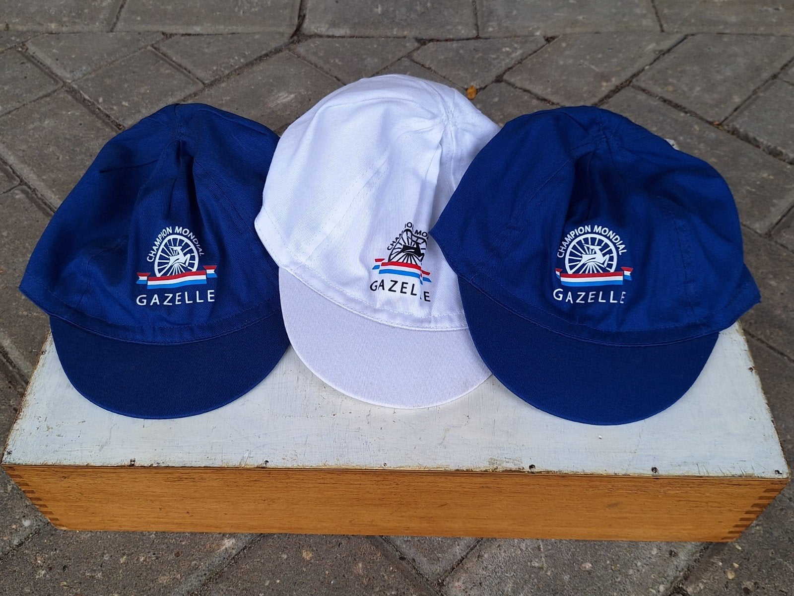 Gazelle Champion Mondial petten, Ophalen of Verzenden, Nieuw, Pet