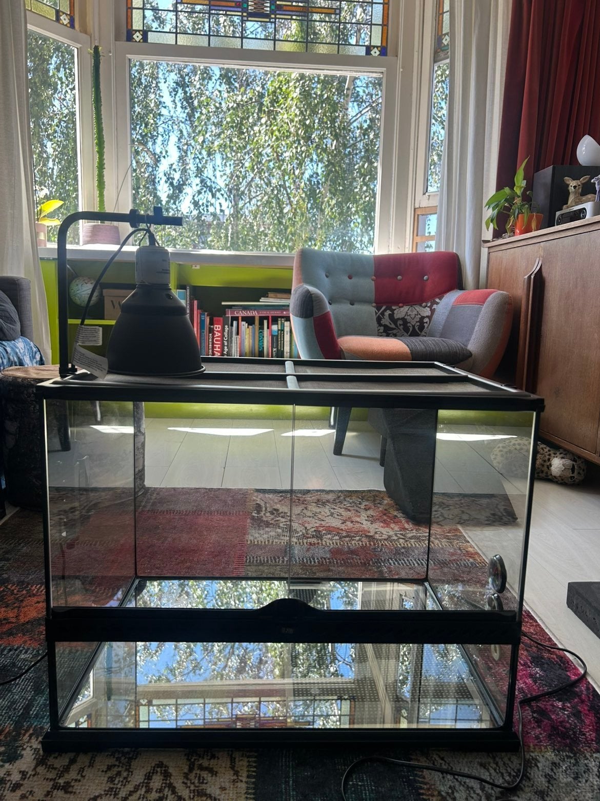 Reptielen & Amfibieën Terrarium, Ophalen, Gebruikt, Terrarium of Paludarium