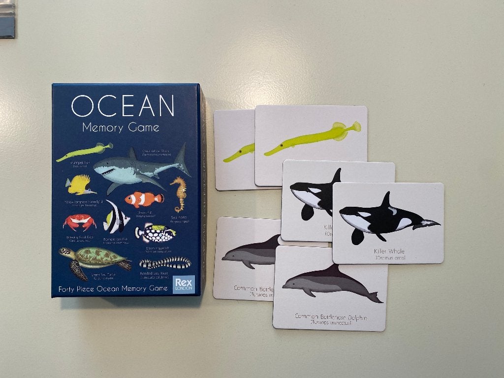 Memory spel Ocean, Ophalen of Verzenden, Zo goed als nieuw