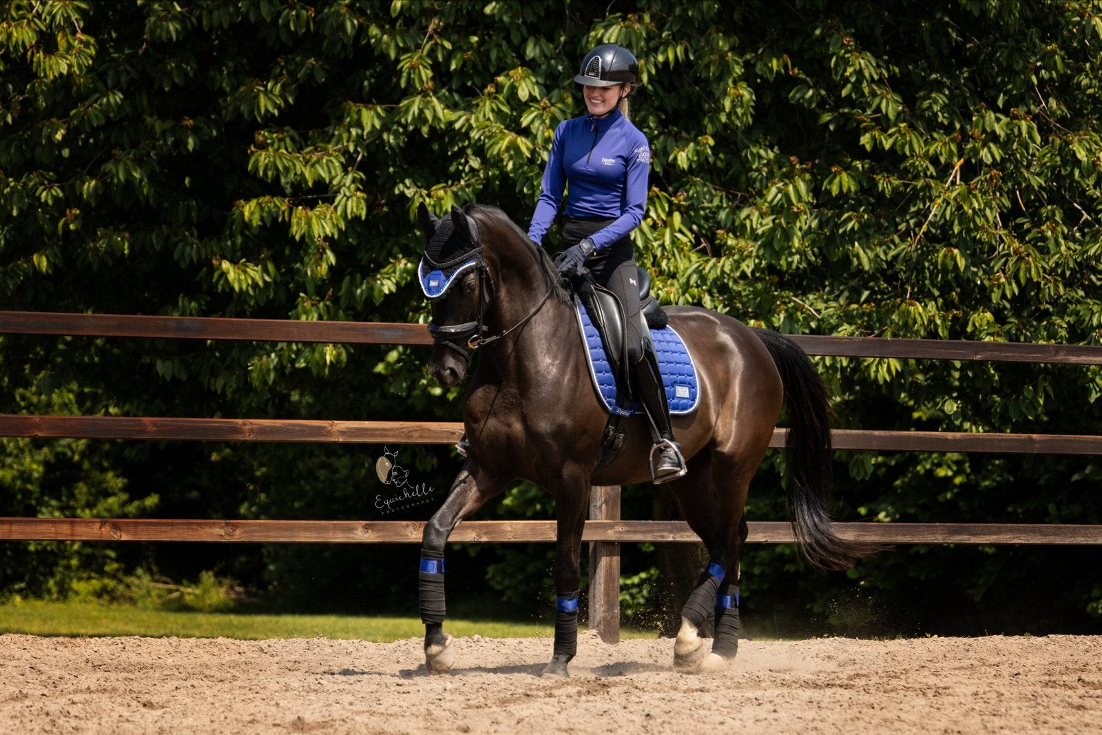Nomé H - mooie merrie van Everdale, Merrie, Dressuurpaard
