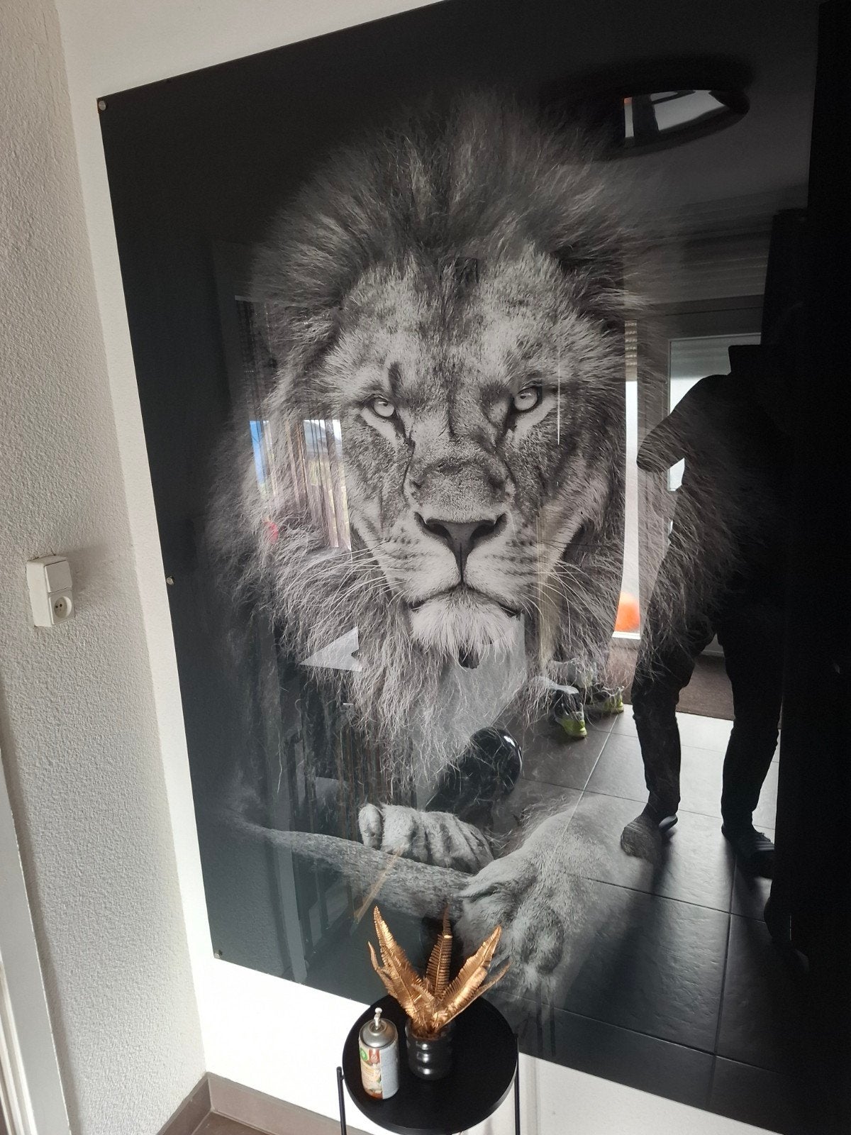 Leeuw op plexiglas - 130x180 cm met ophangpunten, Ophalen, Gebruikt, 125 cm of meer, Print