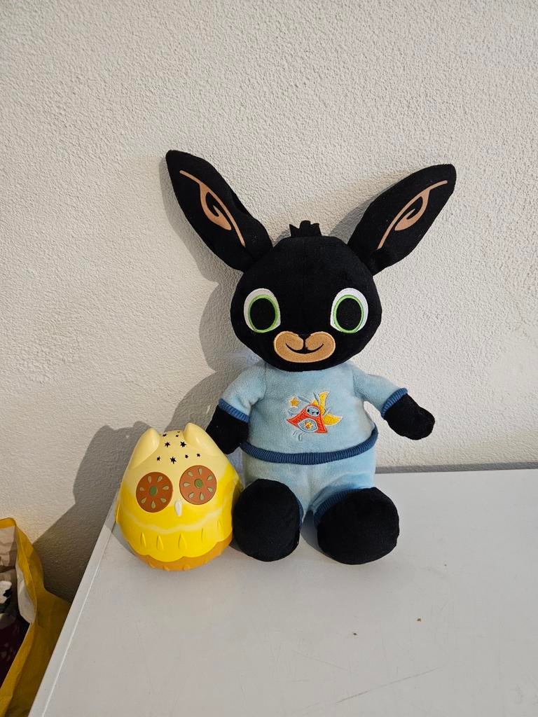 Bing knuffel met nachtlampje, Ophalen
