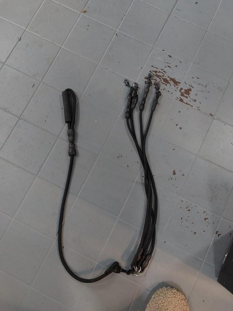 Duo hondenlijn, Dieren en Toebehoren, Ophalen of Verzenden, Nieuw, Hondenriem