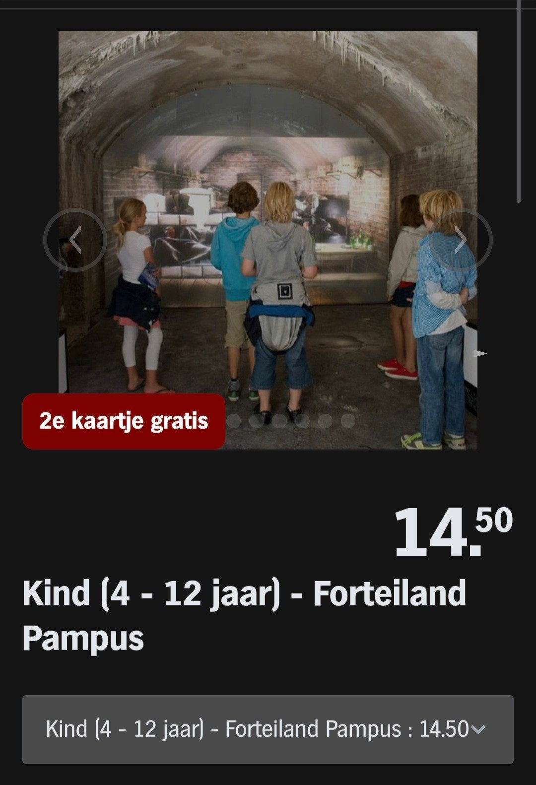 FORTEILAND PAMPUS ♡ 2e kaartje gratis (AH SPAARKAARTEN), Overige typen