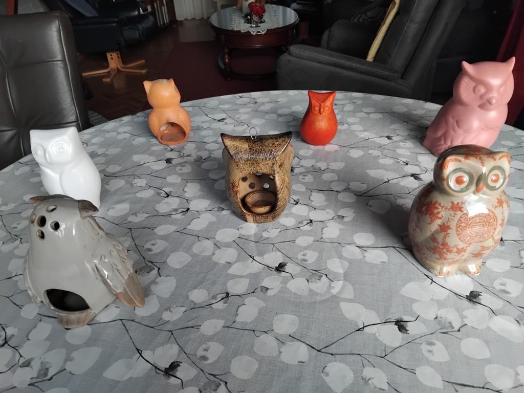 VERZAMELING VAN UILTJES, Ophalen of Verzenden, Zo goed als nieuw, Dier