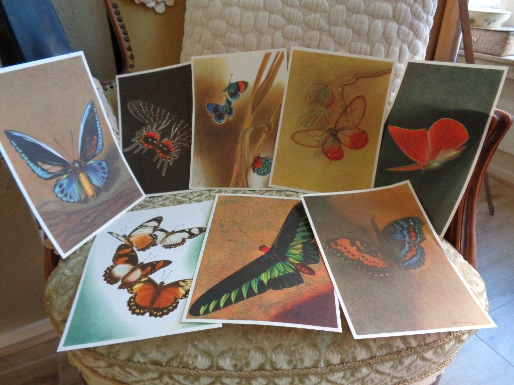 8 Oude Artis Prenten van een Vlinder ** Mimosa **, Ophalen of Verzenden, Voor 1940, Gebruikt, Overige onderwerpen