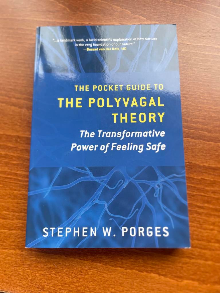 The Pocket Guide to the Polyvagal Theory - Stephen W. Porges, Boeken, Ophalen of Verzenden, Nieuw, Klinische psychologie