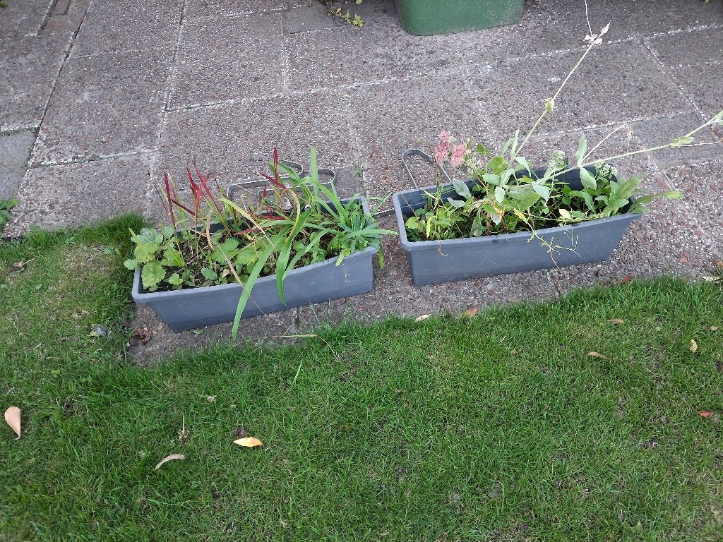 plantenbakken 2 winterharde vaste planten 4 haken, Tuin en Terras, Ophalen, Kunststof, Gebruikt, Balkon