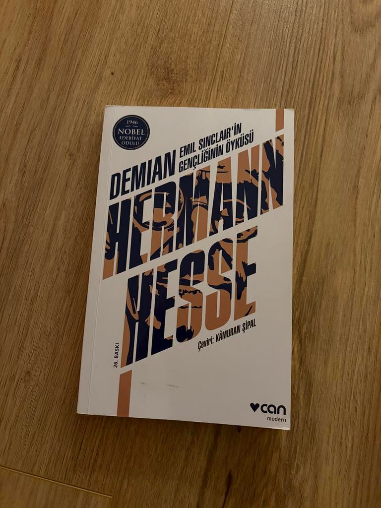 Demian - Hermann Hesse (Turks), Ophalen of Verzenden, Zo goed als nieuw, Wereld overig