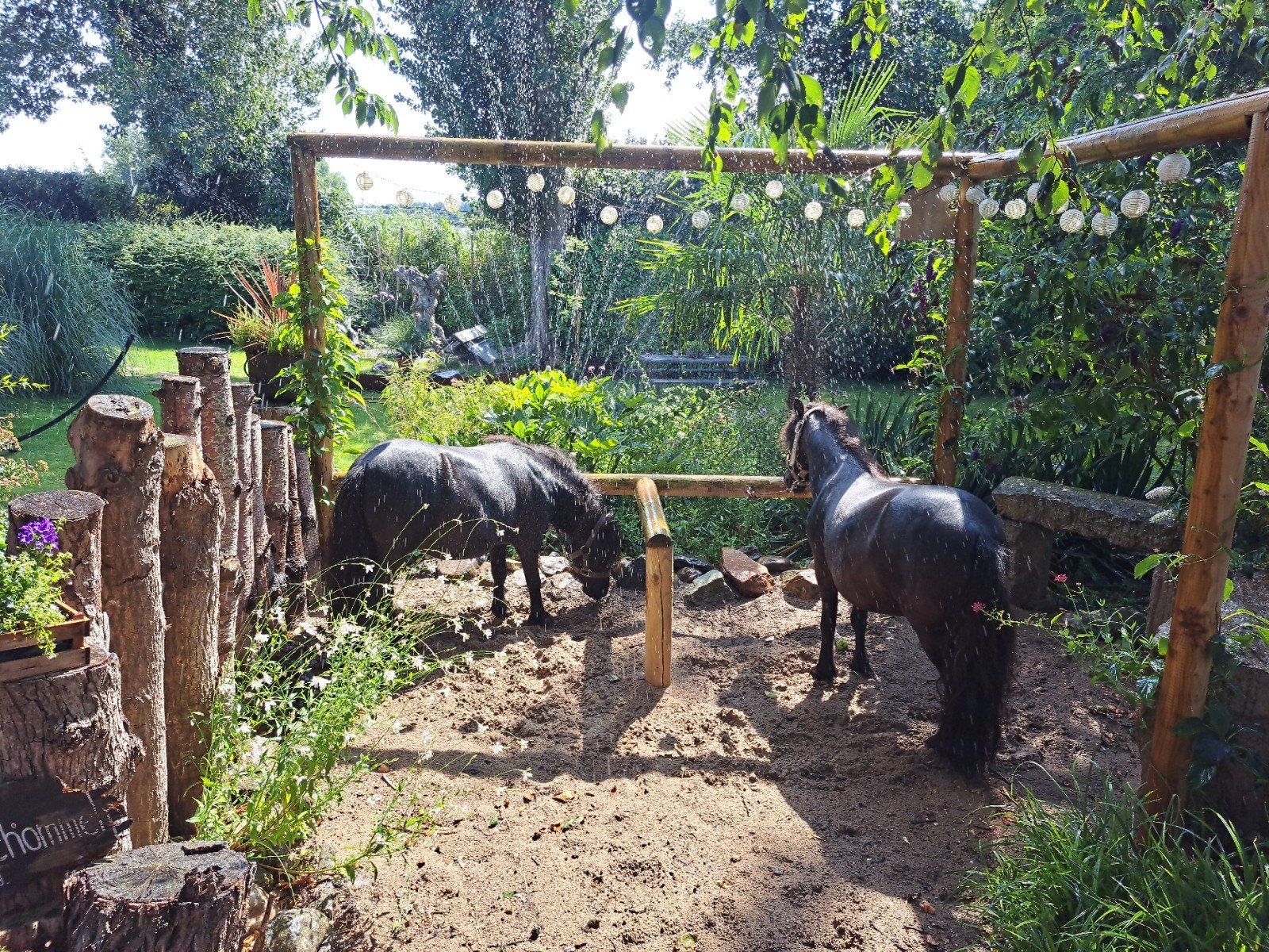 pony verzorgen, Dieren en Toebehoren
