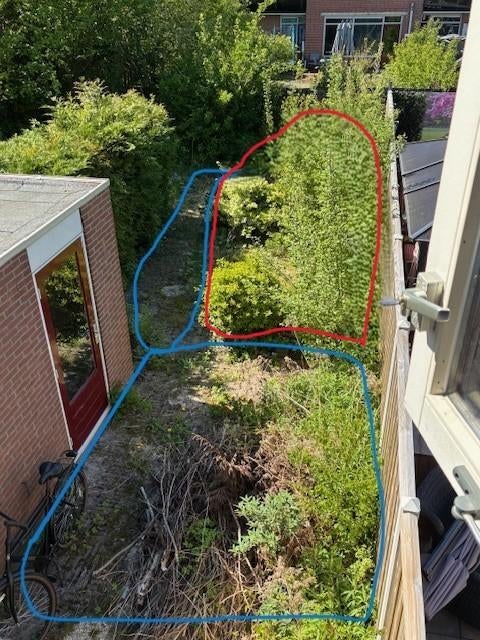 Tuinman gezocht, Diensten en Vakmensen, Tuinmannen en Stratenmakers, Tuinonderhoud of Snoeiwerk