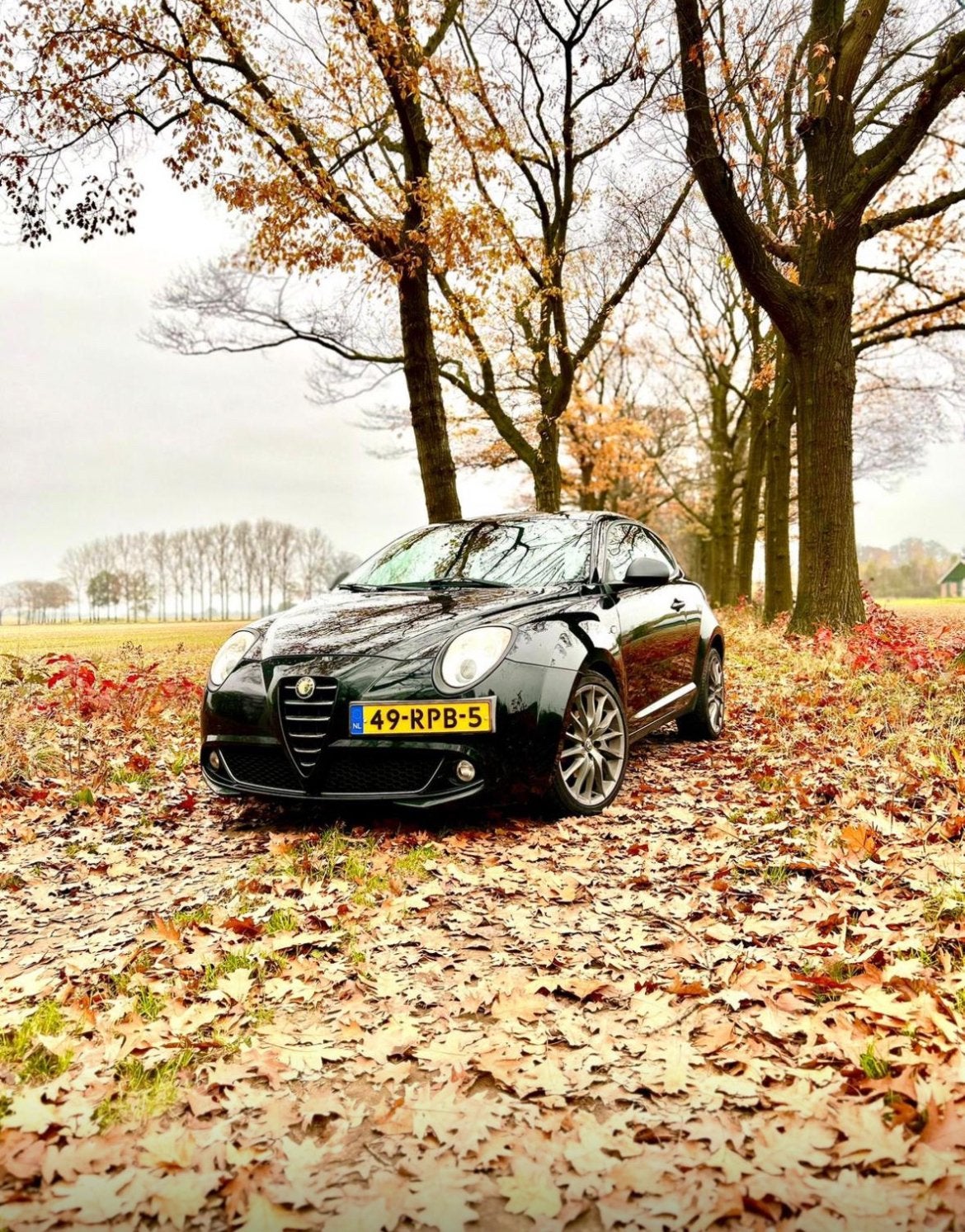Dikke Alfa Romeo MiTo zwart 1.3JTDm Sportvelgen,groot scherm, Auto's, Zwart, 4 cilinders, Leon, Zwart