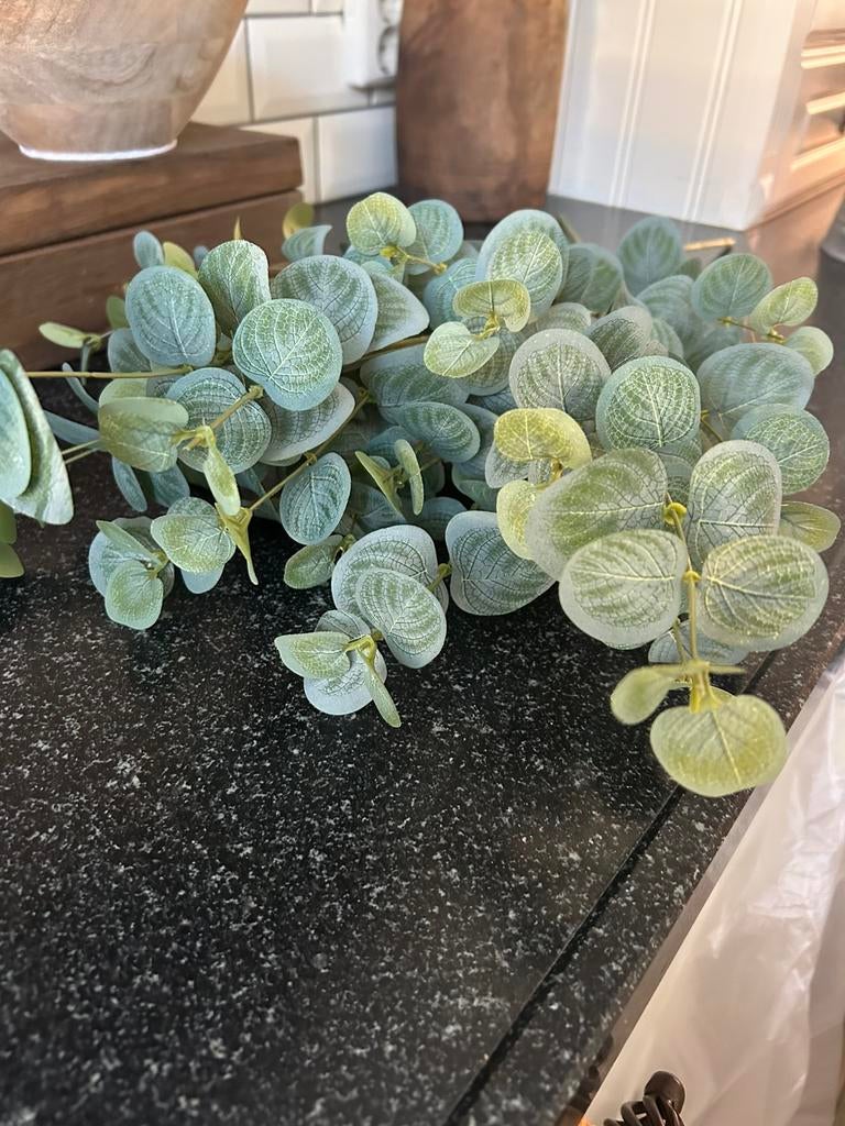 3 kunst eucalyptus  takken bij hoffz, stoer sobere inr, Huis en Inrichting, Woonaccessoires | Overige, Ophalen of Verzenden