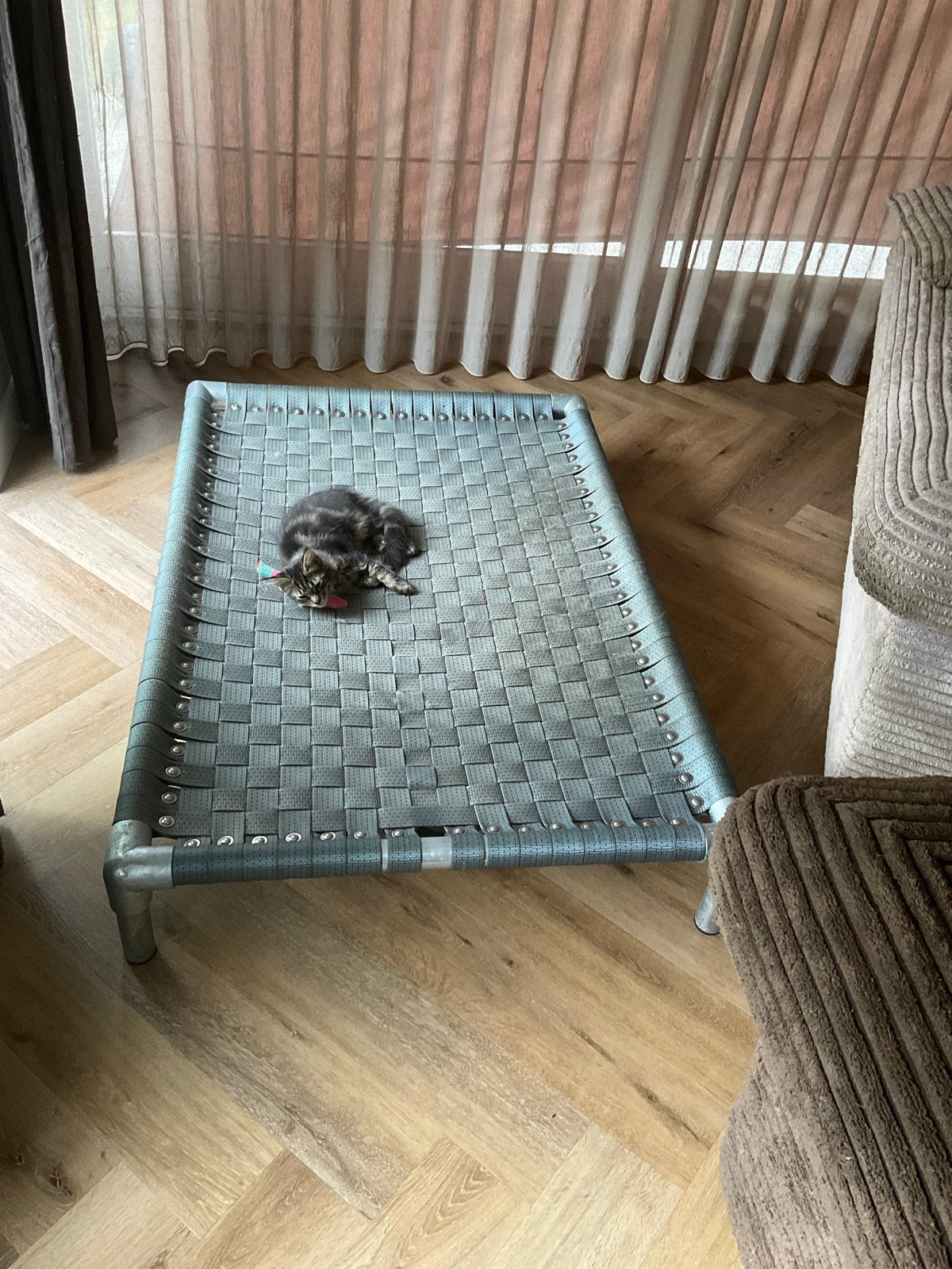 Honden stretcher, Ophalen