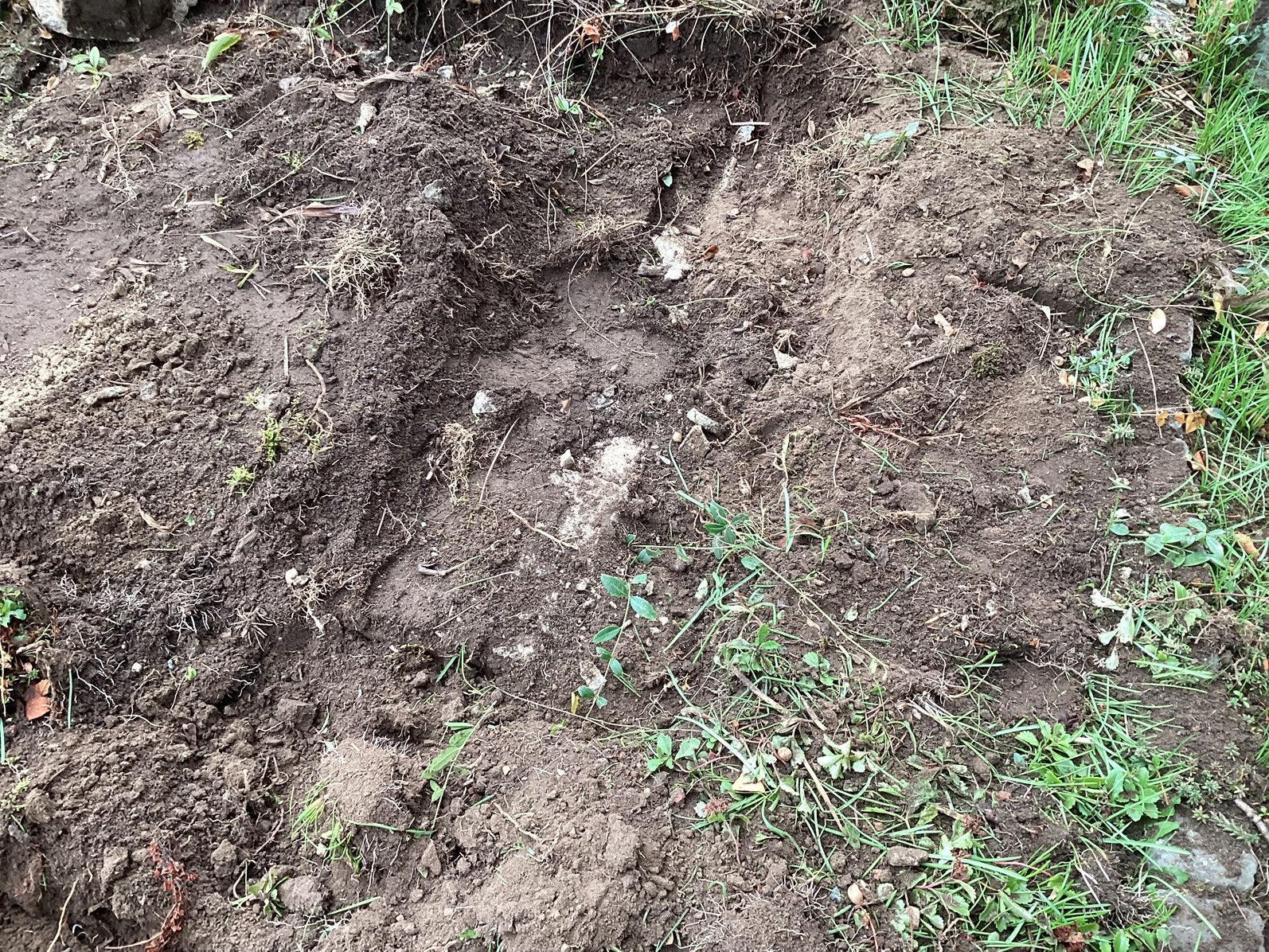 Gratis af te halen tuingrond, Ophalen, Tuinaarde