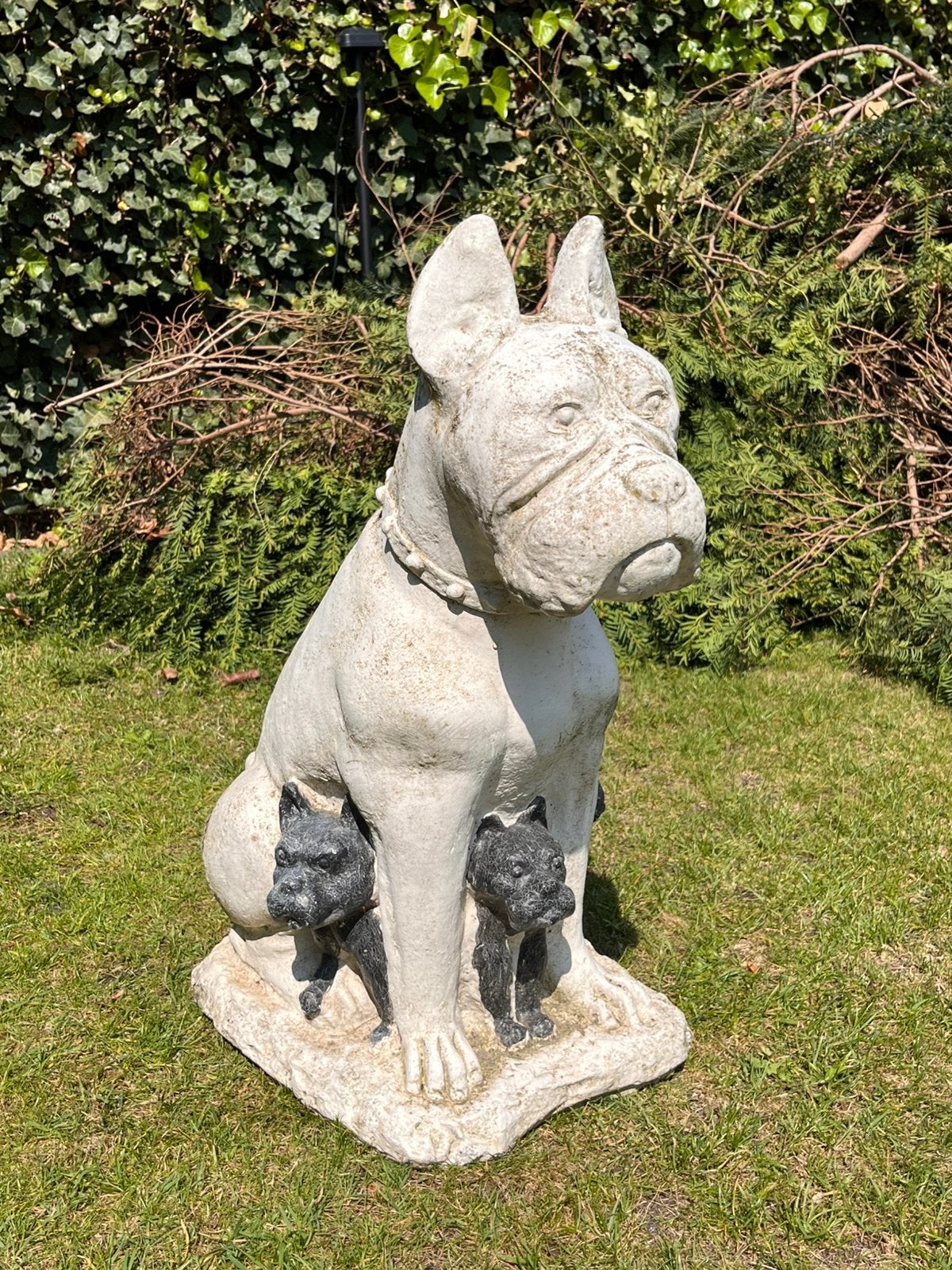 Groot betonnen hondenbeeld met puppy’s, Ophalen, Gebruikt, Beton, Dierenbeeld