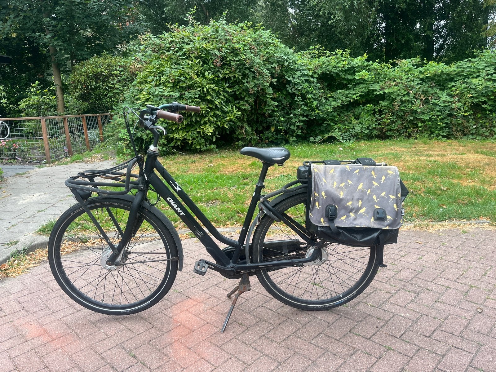 Giant Triple X elektrische damesfiets WADDINXVEEN, 51 tot 55 cm, Ophalen, Gebruikt, Giant