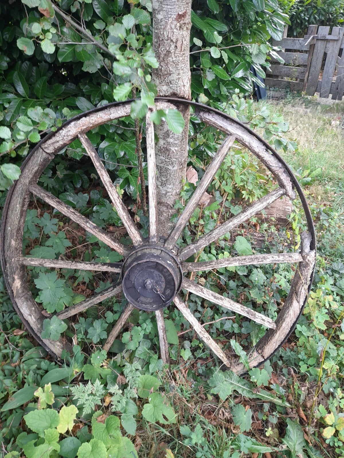 Antiek wagenwiel, voor de hobbyist, Ophalen of Verzenden