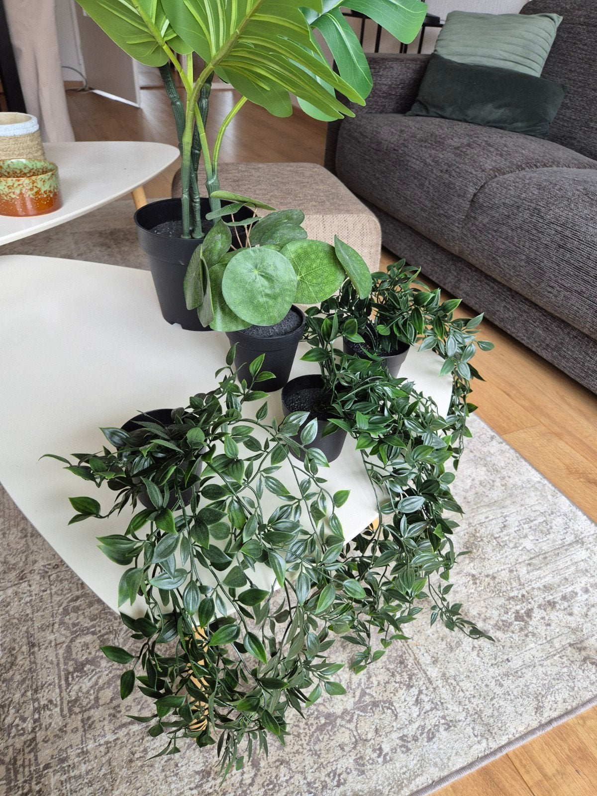 Nep planten, Ophalen, Zo goed als nieuw