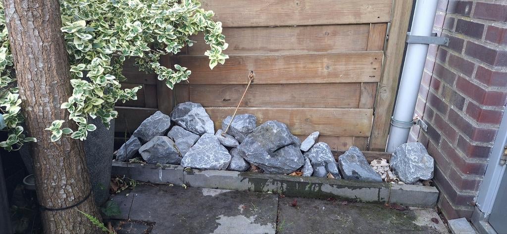 Aquarium rotsen voor cichliden, Ophalen, Plant(en), Steen of Hout