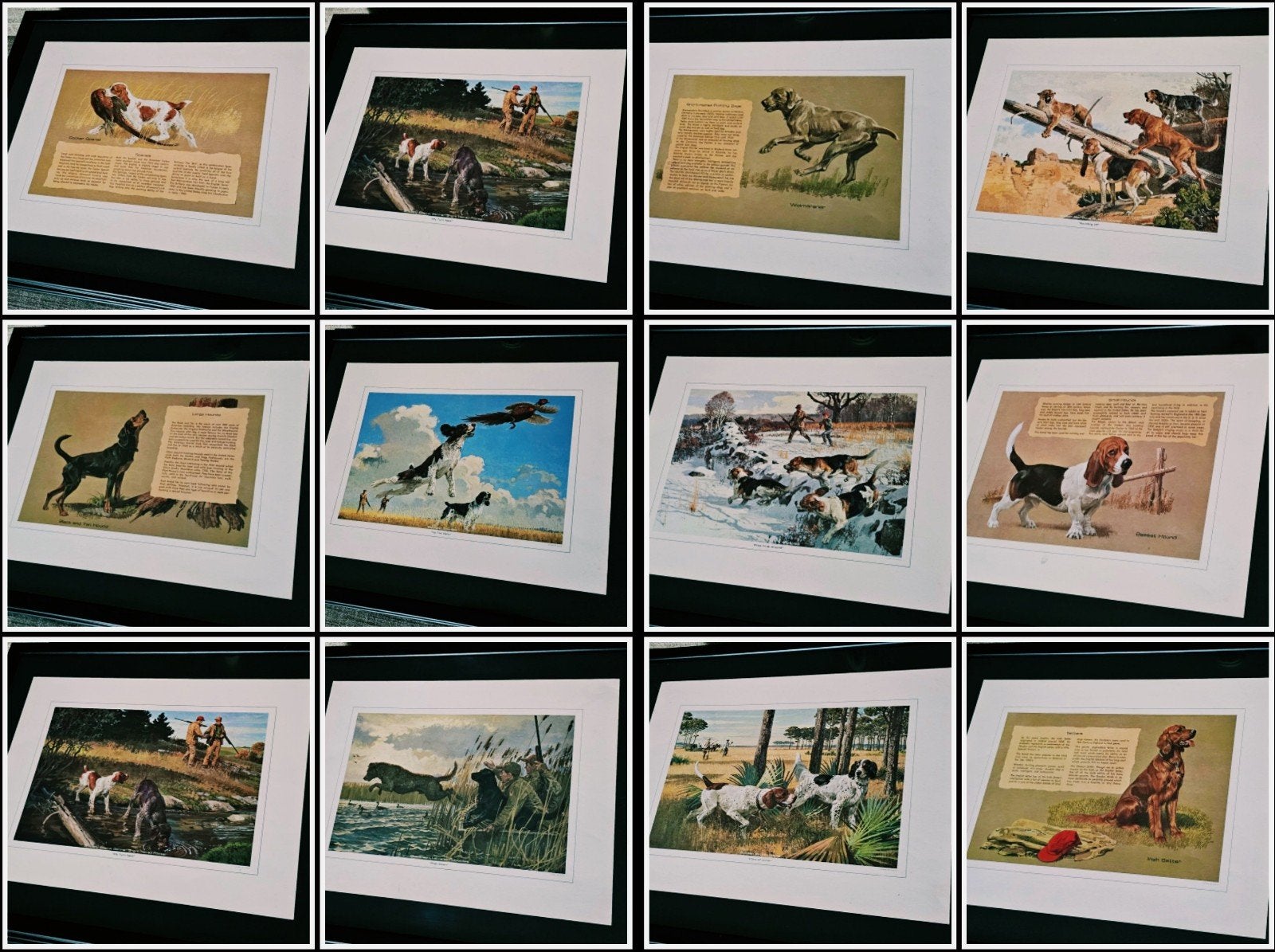 Jachthonden litho-serie Remington - 12-delig - Ingelijst, 31 cm, Gebruikt, Zwart, Papier/karton