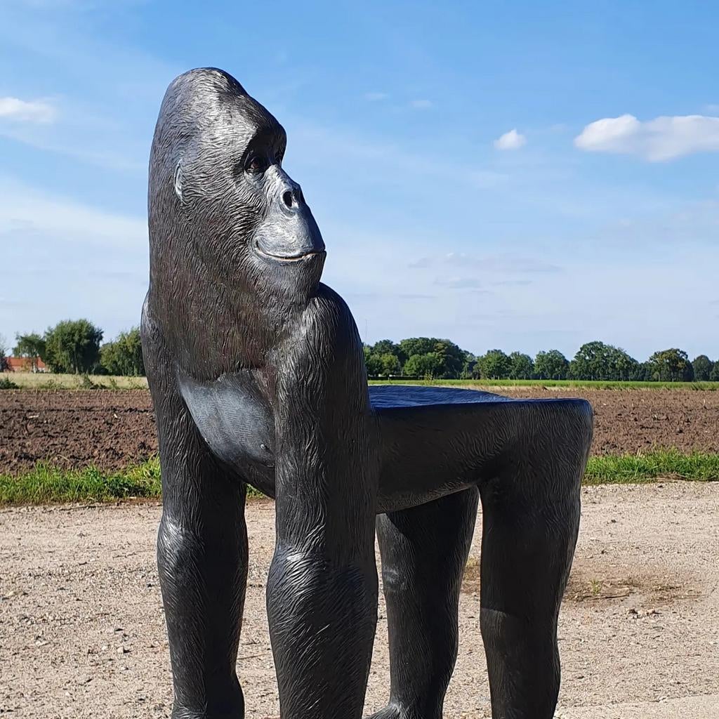 Stoel AAp gorilla voor volwassenen eetkamerstoel, Ophalen, Kunststof, Zwart, Zo goed als nieuw