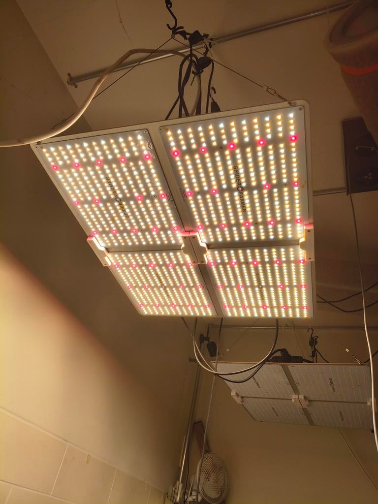 2x Spider Farmer SF4000 Dimbare LED Kweeklampen, Ophalen of Verzenden, Gebruikt, Kweeklamp