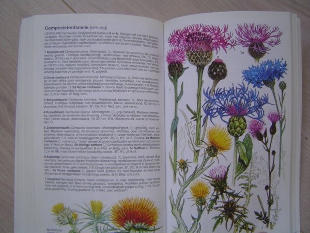 Bloemengids voor wilde bloemen van Noordwest Europa, Boeken, Natuur, Verzenden, Zo goed als nieuw, Bloemen, Planten en Bomen