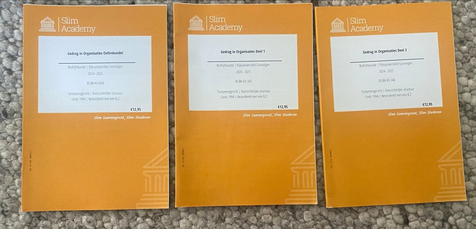 Slim Academy Samenvattingen Bedrijfskunde WO, Boeken, Studieboeken en Cursussen, Ophalen of Verzenden, Gamma, Zo goed als nieuw