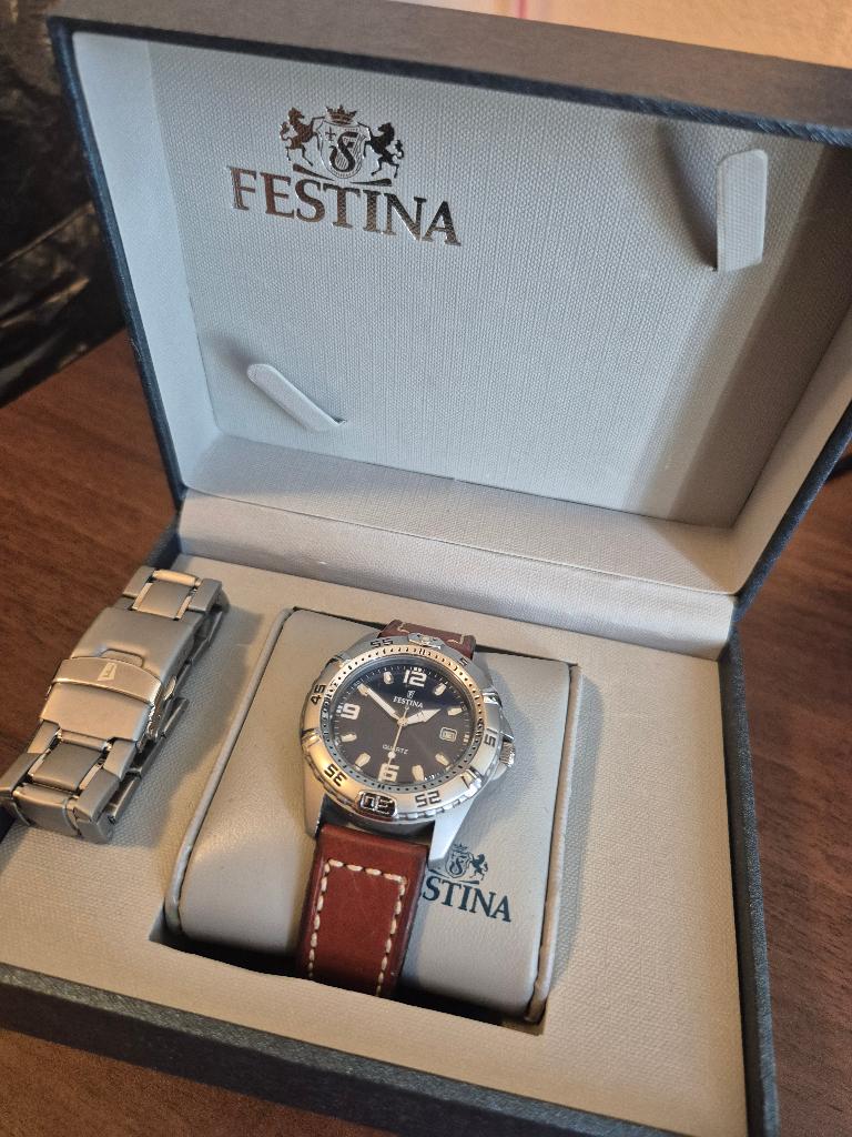 Festina Model 16170, Sieraden, Tassen en Uiterlijk, Horloges | Heren, Overige merken, Staal, Polshorloge, Ophalen of Verzenden