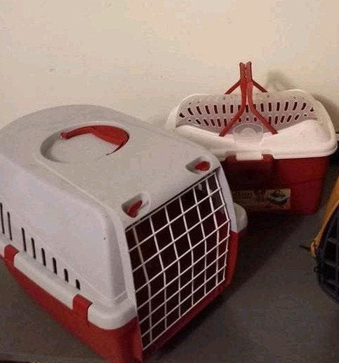 Transport Box ...🐱🐱 ..per stuk, Ophalen, Transportkoffer of -box