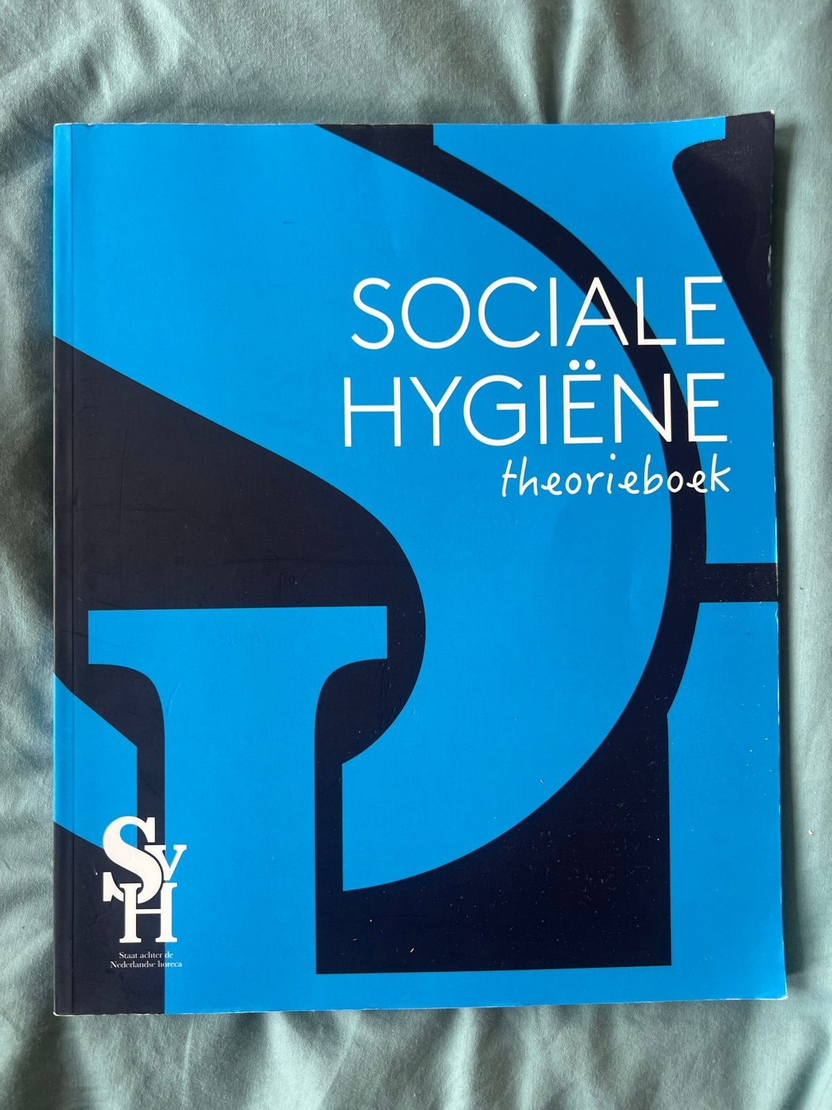 Sociale Hygiëne theorieboek - SVH, Boeken, Ophalen of Verzenden, Zo goed als nieuw, MBO