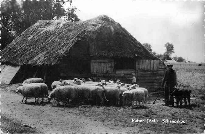 301-247-019 Putten Schaapskooi, Verzenden, Voor 1920, Gelderland