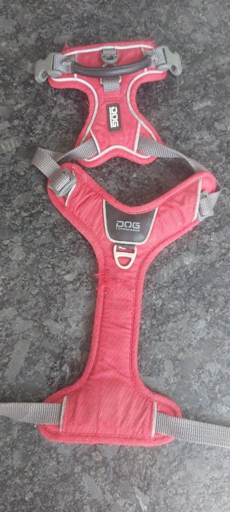 Dog copenhagen  maat xs, Ophalen of Verzenden, Gebruikt, Hondenriem-accessoire