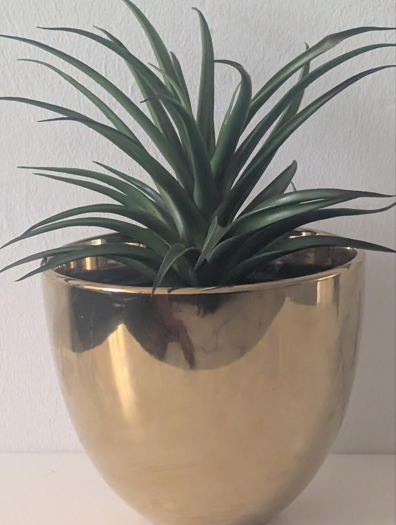vaas met kunstplant, Huis en Inrichting, Kamerplanten, Ophalen of Verzenden, Halfschaduw, Minder dan 100 cm