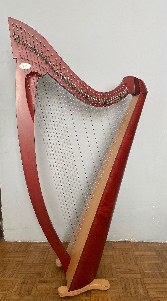 Harp Salvi Titan 38 snaren, met stemsleutel en hoes, Muziek en Instrumenten, Ophalen, Zo goed als nieuw