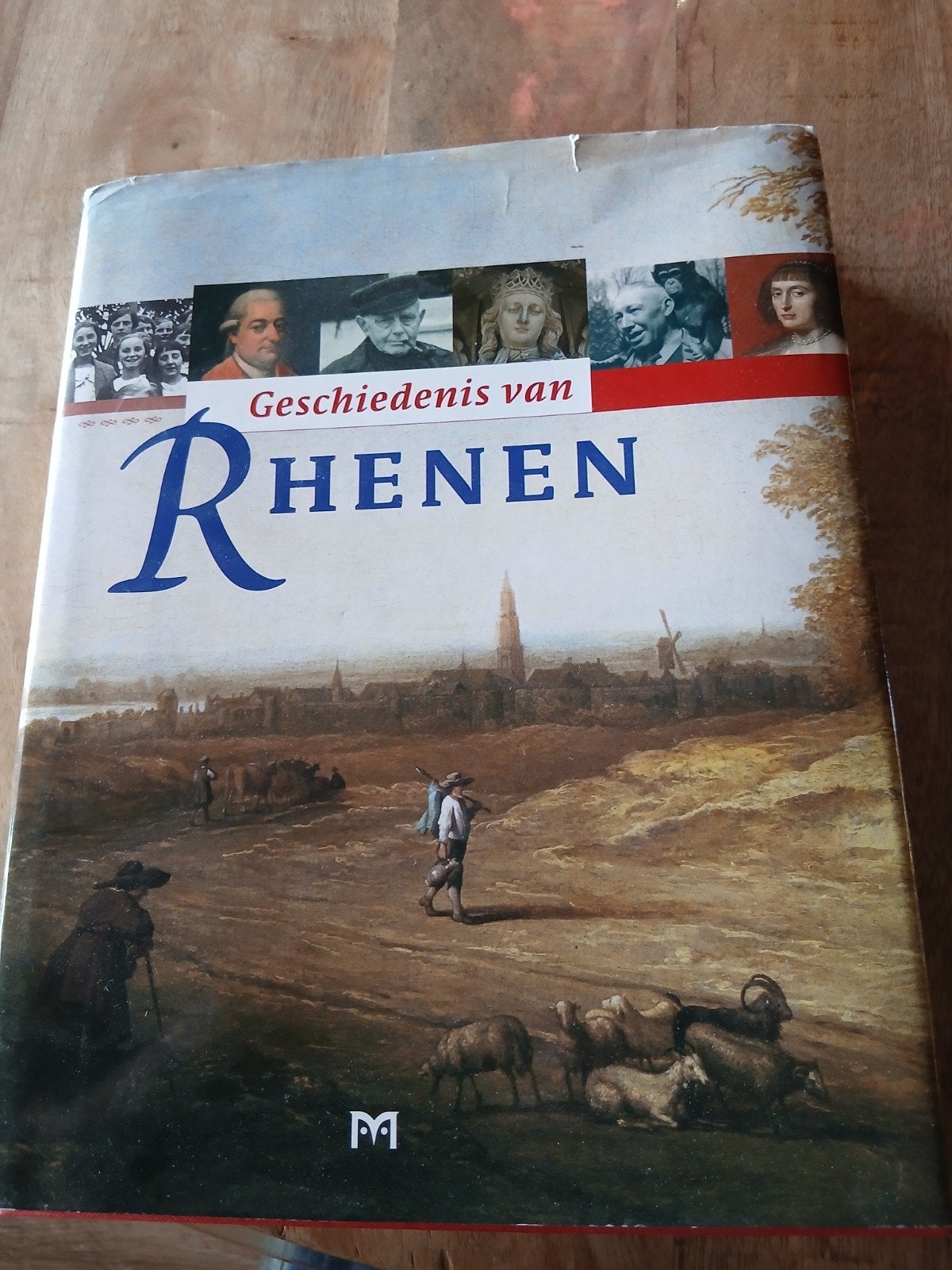 Geschiedenis van Rhenen, Boeken, Ophalen of Verzenden, Zo goed als nieuw