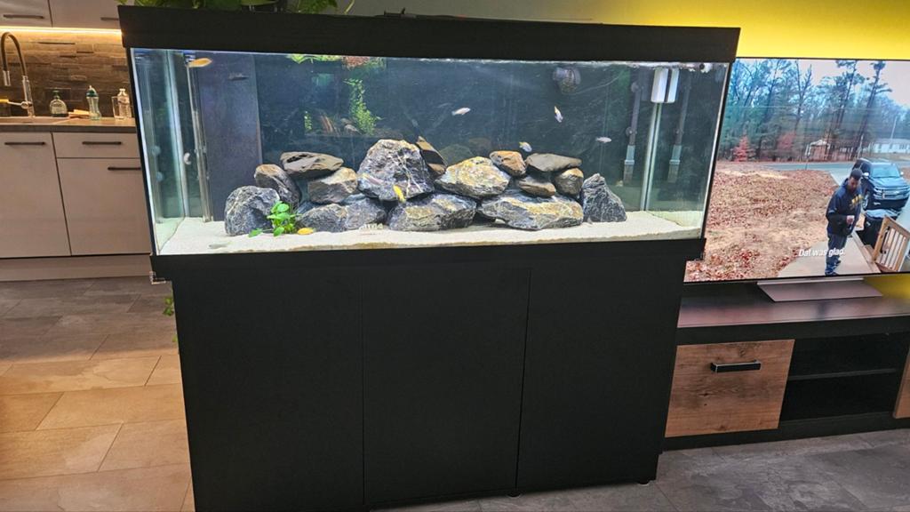 Juwel Rio 450 incl kast en vissen, Ophalen, Gevuld zoetwateraquarium