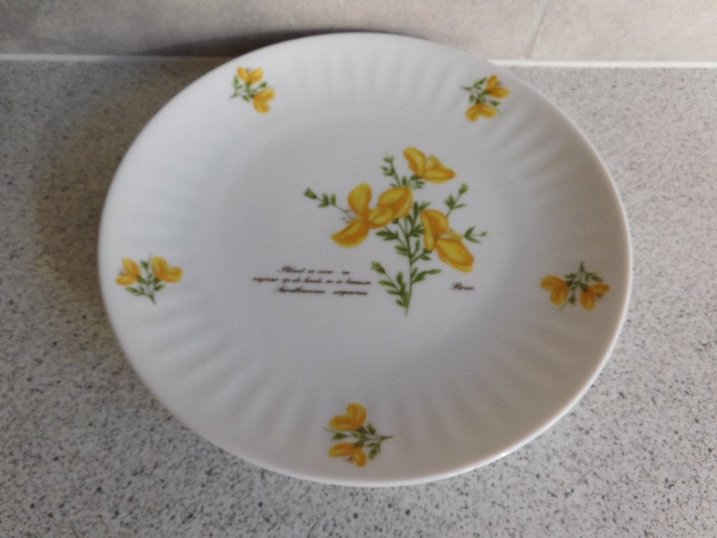 Bord 21 cm. Gele Brem Libelle Exclusief Marjolein Bastin, Huis en Inrichting, Keuken | Servies, Overige merken, Ophalen of Verzenden