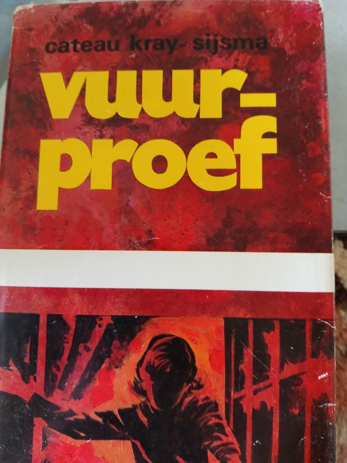 Vuurproef.  cateau Kray Sijsma, Boeken, Ophalen, Gelezen