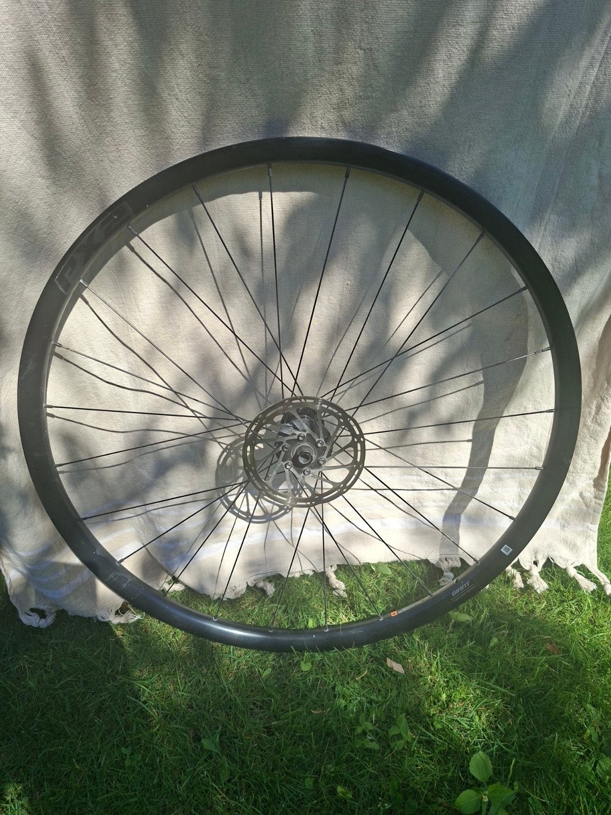 Giant px2 Racefiets Wiel (voor) Tubeless Ready met Remschijf, Fietsen en Brommers, Fietsonderdelen, Ophalen of Verzenden
