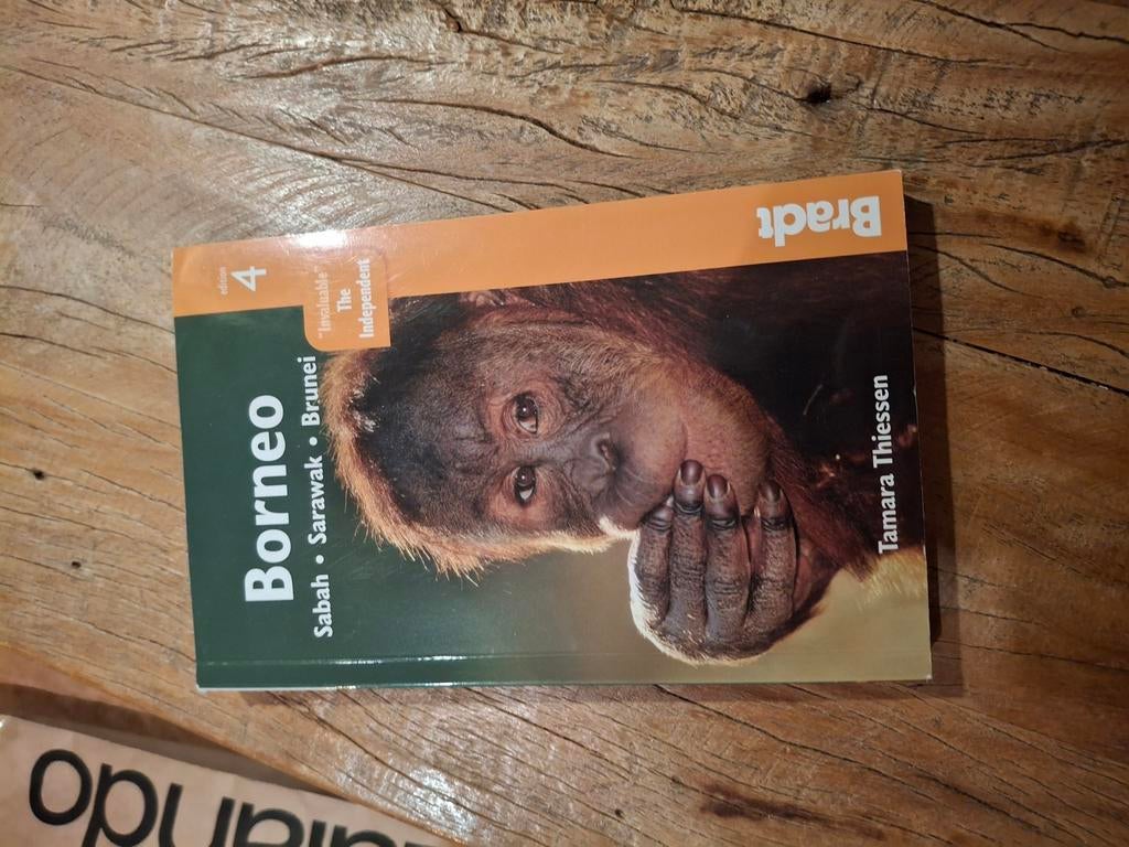 Reisgids Borneo zgan (Sabah, Sarawak, Brunei), thiessen, Overige merken, Ophalen of Verzenden, Zo goed als nieuw, Reisgids of -boek